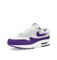 Кроссовки мужские Nike Air Max 1 Sc Grey/Violet DZ4549-101