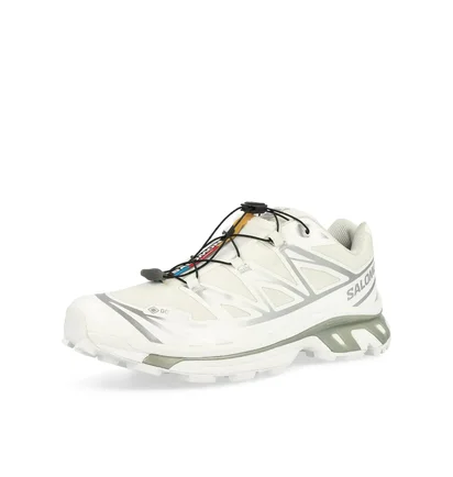 Кроссовки мужские Salomon Xt-6 Gtx White 475811