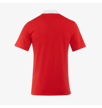 Поло чоловіче Nike Dri-Fit Park 21 Ss Polo Red CW6933-657