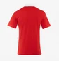 Поло чоловіче Nike Dri-Fit Park 21 Ss Polo Red CW6933-657