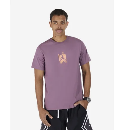 Футболка мужская Air Jordan Brand Graphic Tee Violet FD7025-508