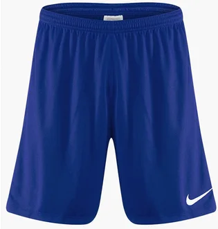 Шорты мужские Nike League Knit Ii Blue Bv6852-410