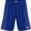 Шорты мужские Nike League Knit Ii Blue Bv6852-410