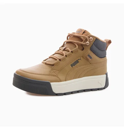 Ботинки унисекс Puma Tarrenz Sb Iii Beige 392628-02