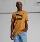 Футболка мужская Puma Classics Logo Tee Orange 670435-74