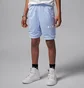 Шорты детские Air Jordan Trousers Baseline Hydrogen Light Blue 95D667-U3C
