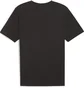 Футболка мужская Puma Teamrise Logo Jersey Cotton Black 658705-03