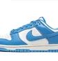 Кросівки чоловічі Nike Dunk Low White/Light Blue DD1391-102