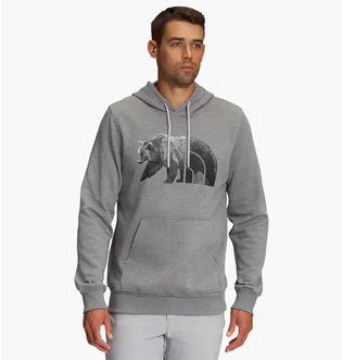 Худи мужское The North Face Bear Long-Sleeve Pullover Hoodie Grey Nf0A7Unmgvd