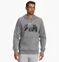 Худи мужское The North Face Bear Long-Sleeve Pullover Hoodie Grey Nf0A7Unmgvd