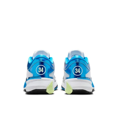 Кросівки унісекс Nike Zoom Freak 5 Metallic DX4985-402
