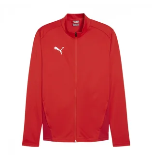 Олимпийка мужская Puma Teamgoal Rood Red 658633-01