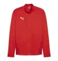 Олимпийка мужская Puma Teamgoal Rood Red 658633-01