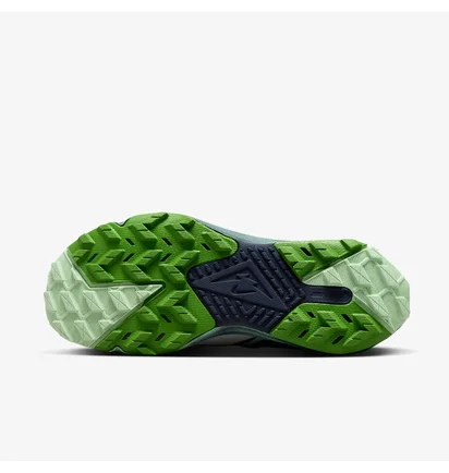Кросівки жіночі Nike Terra Kiger 9 Blue DR2694-403