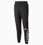 Штаны мужские Puma Essentials Block Camo Black 673339-01