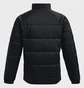 Куртка мужская Under Armour Insulate Black 1364907-001