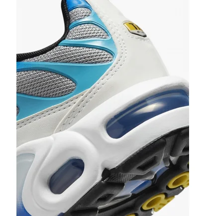 Кросівки дитячі Nike Air Max Plus Grey CD0609-019