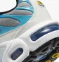 Кросівки дитячі Nike Air Max Plus Grey CD0609-019
