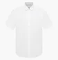 Рубашка мужская Mustang Style Berkeley White 1017845-2007