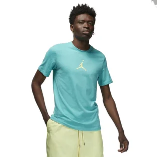 Футболка чоловіча Air Jordan Jumpman Turquoise Cw5190-392