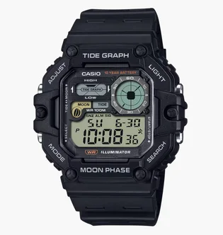 Часы мужские Casio WS-1700H-1A