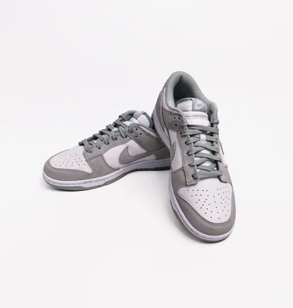 Кроссовки мужские Nike Dunk Low Retro Se Pumice Grey/White FQ8249-101