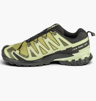 Кросівки чоловічі Salomon Xa Pro 3D V9 Gore-Tex Olive 472704