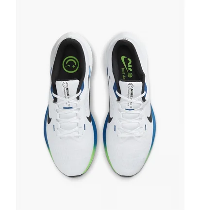 Кроссовки мужские Nike Winflo 10 Road Running Shoes White DV4022-103