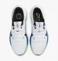 Кроссовки мужские Nike Winflo 10 Road Running Shoes White DV4022-103