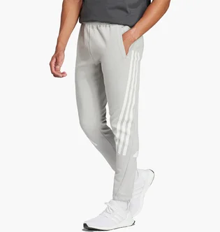 Штаны мужские Adidas Future Icons 3-Stripes Joggers Grey IR9203