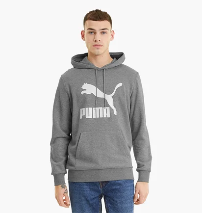 Худи мужское Puma Classics Logo Grey 530084-03