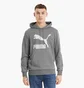 Худи мужское Puma Classics Logo Grey 530084-03