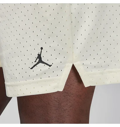 Шорты мужские Air Jordan Sport Dri-Fit White FN5816-113