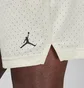 Шорты мужские Air Jordan Sport Dri-Fit White FN5816-113