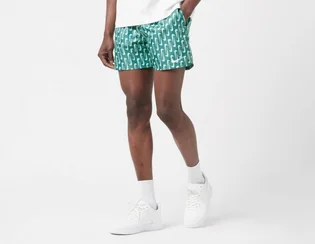 Шорты мужские Nike Swoosh Link 5 & Volley Short Green NESSE520-302