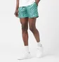 Шорты мужские Nike Swoosh Link 5 & Volley Short Green NESSE520-302