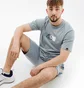 Футболка мужская Ellesse Visageo Tee Grey SHR17633-426