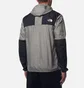 Куртка чоловіча The North Face Seasonal Mountain Grey NF0A5IG31I4