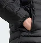 Куртка мужская Adidas Synthetic Hooded Originals Black JX4117