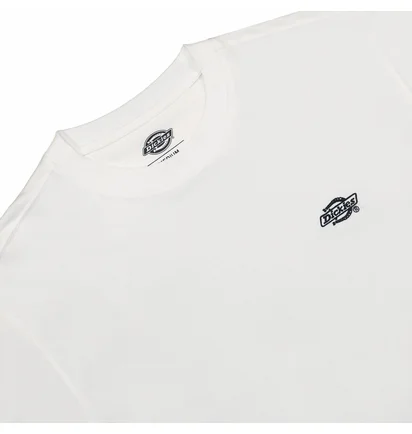 Футболка мужская Dickies Summerdale Ss Tee White DK0A4YAIWHX1