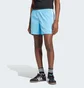 Шорты мужские Adidas Adicolor Classics Sprinter Shorts Light Blue IM9434