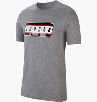 Футболка чоловіча Air Jordan Sticker Grey CJ6246-091