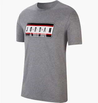 Футболка мужская Air Jordan Sticker Grey CJ6246-091