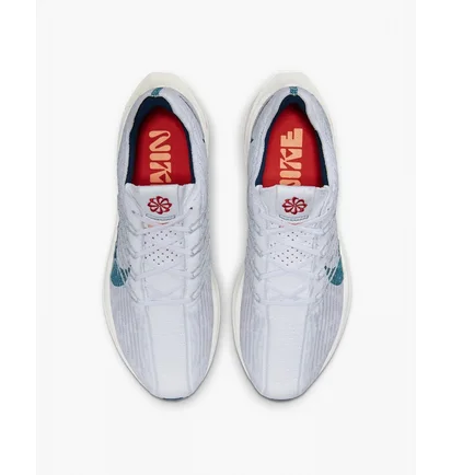 Кросівки чоловічі Nike Pegasus Turbo Next Nature Grey Dm3413-004