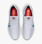 Кросівки чоловічі Nike Pegasus Turbo Next Nature Grey Dm3413-004