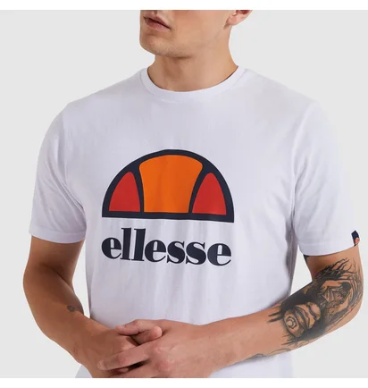 Футболка мужская Ellesse Dyne Tee White SXG12736-908