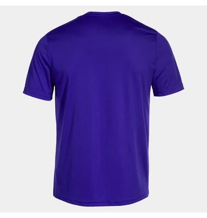 Футболка мужская Joma Combi Blue 100052.550