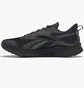Кросівки чоловічі Reebok Floatride Energy 3.0 Adventure Black G58173