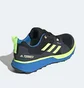 Кроссовки мужские Adidas Terrex Two Gore-tex Black FV8102