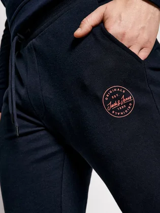 Штаны мужские Jack & Jones Gordon Blue 12165322